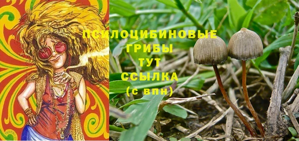 трава Абаза